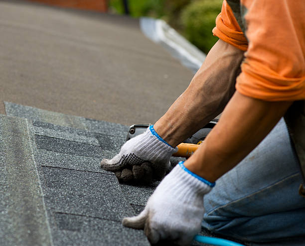 Best Roof Gutter Cleaning  in Leesville, LA